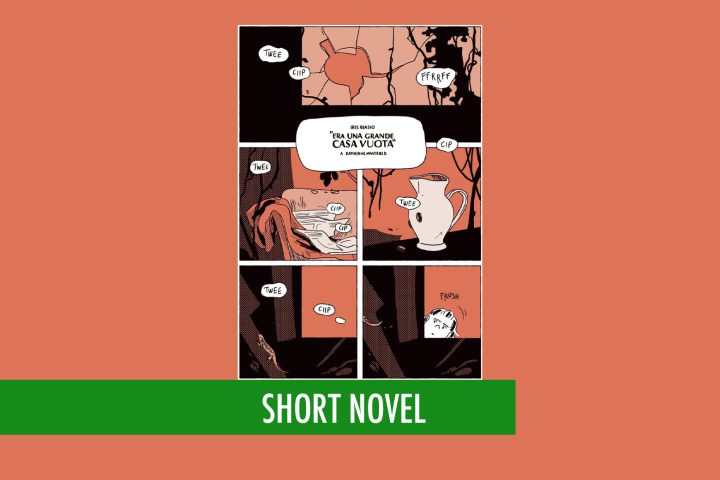 Era una grande casa vuota 2